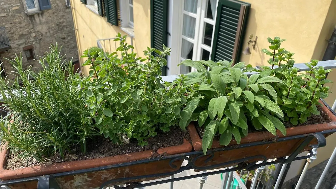 Apartment Il Mulino Di Hotel Villa Aurora Nesso